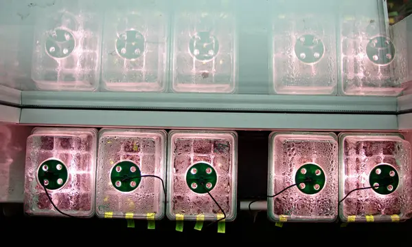 Mini seraları kapatın.