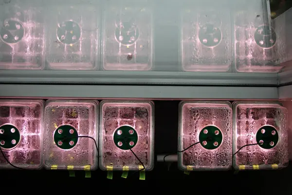 Mini seraları kapatın.