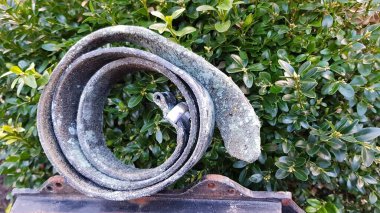 Küfle kaplanmış deri kemer.