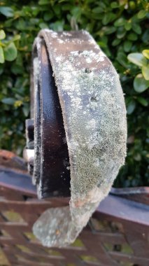 Küfle kaplanmış deri kemer.