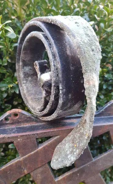 Küfle kaplanmış deri kemer.