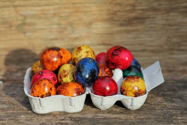 Paskalya: Parlak renkli bıldırcın yumurtaları 
