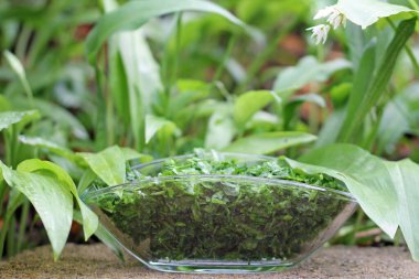 Yabani sarımsaklı sebze cam kaseye