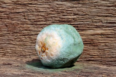 citrus fruit on wooden background