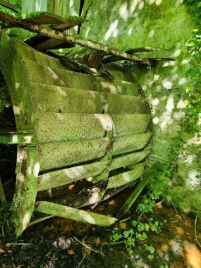  Ormandaki eski su değirmeni