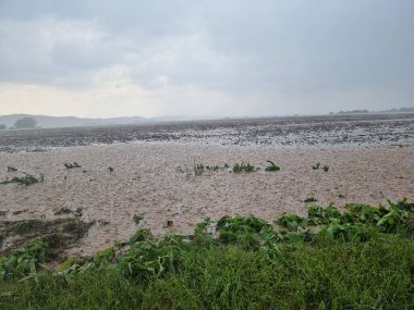 Meiers Feld Üzerindeki Yağmur Fırtınası (ayrık kalıba yakın)