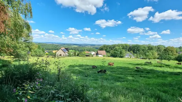 stock image Near falkenburg ruins, landscape with clouds