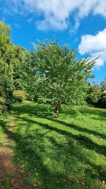 Emmerthal Belediyesi, Earberg Parkı ve Weser Nehri