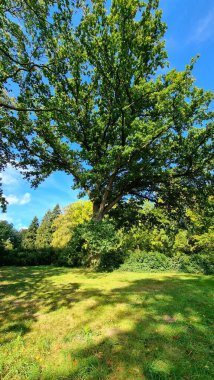 Emmerthal Belediyesi, Earberg Parkı ve Weser Nehri
