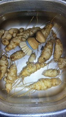  Kudüs enginarı, su banyosunda temizlik.