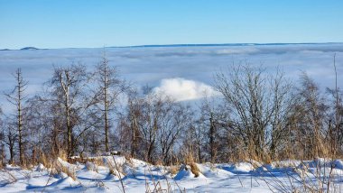 Panoramic photos around the Lippische Velmerstot, northern summit at 441.4 m above sea level clipart