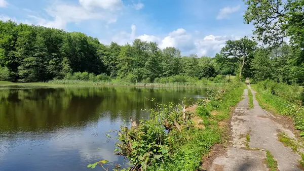 Ellernteich, ormandaki göl.