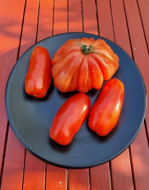 Coer de bauef ve San Marzano, öküz kalbi ve şişe domates.