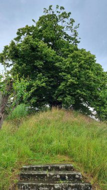 Evessen 'in kargaşası Aşağı Saksonya' daki Evessen 'de büyük bir mezarlık.