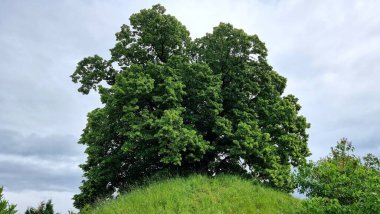 Evessen 'in kargaşası Aşağı Saksonya' daki Evessen 'de büyük bir mezarlık.