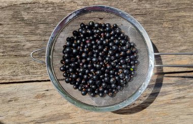 Tahta kasede taze siyah frenk üzümü