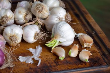 Mutfakta siyah arka planda sarımsak. Baharatlı bir sebze.