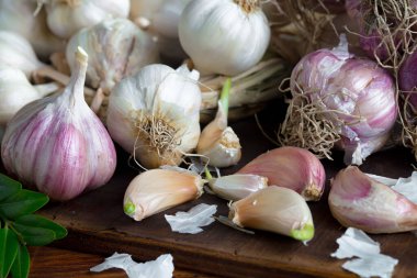 Mutfakta siyah arka planda sarımsak. Baharatlı bir sebze.