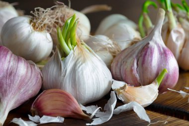 Mutfakta siyah arka planda sarımsak. Baharatlı bir sebze.