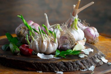 Mutfakta siyah arka planda sarımsak. Baharatlı bir sebze.