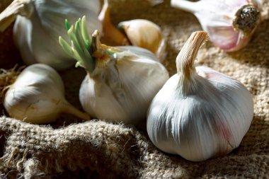 Mutfakta siyah arka planda sarımsak. Baharatlı bir sebze.