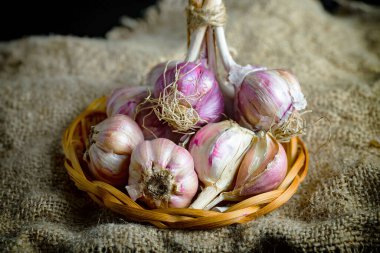 Mutfakta siyah arka planda sarımsak. Baharatlı bir sebze.