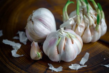 Mutfakta siyah arka planda sarımsak. Baharatlı bir sebze.