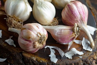 Mutfakta siyah arka planda sarımsak. Baharatlı bir sebze.