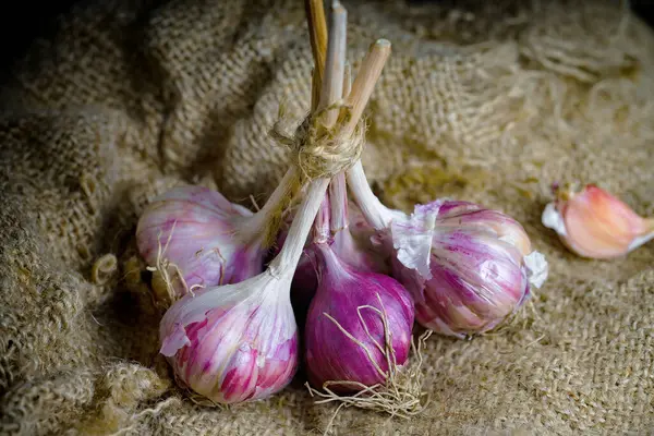 Mutfakta siyah arka planda sarımsak. Baharatlı bir sebze.