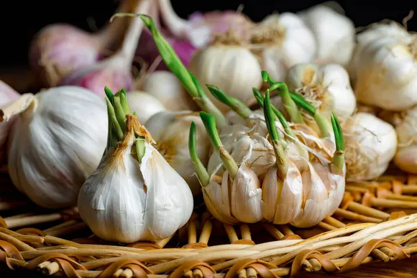 Mutfakta siyah arka planda sarımsak. Baharatlı bir sebze.