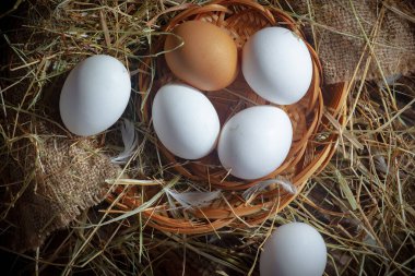 Çiğ tavuk yumurtası, kuru otların arka planında.