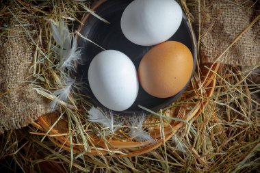 Çiğ tavuk yumurtası, kuru otların arka planında.