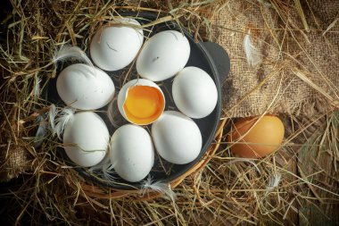Çiğ tavuk yumurtası, kuru otların arka planında.