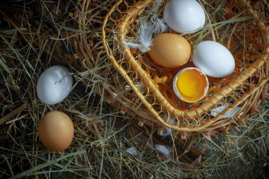 Çiğ tavuk yumurtası, kuru otların arka planında.