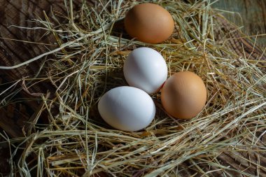 Çiğ tavuk yumurtası, kuru otların arka planında.