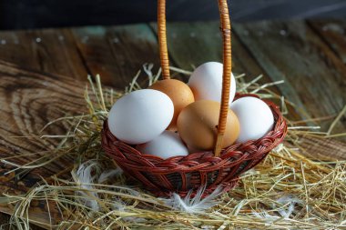 Çiğ tavuk yumurtası, kuru otların arka planında.