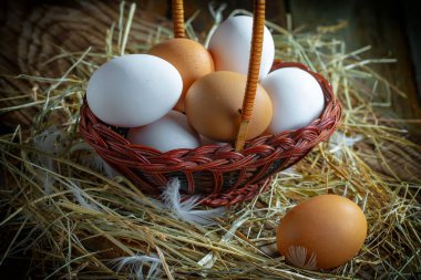 Çiğ tavuk yumurtası, kuru otların arka planında.