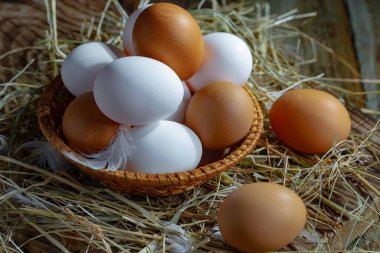 Çiğ tavuk yumurtası, kuru otların arka planında.