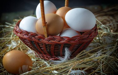 Çiğ tavuk yumurtası, kuru otların arka planında.