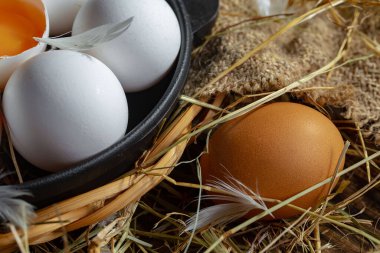 Çiğ tavuk yumurtası, kuru otların arka planında.
