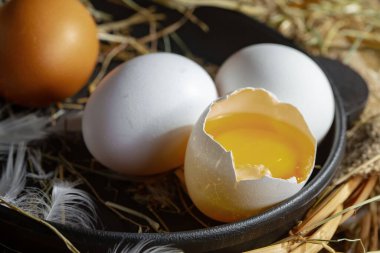 Çiğ tavuk yumurtası, kuru otların arka planında.