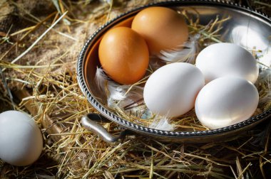 Çiğ tavuk yumurtası, kuru otların arka planında.