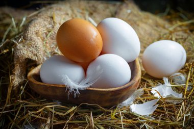 Çiğ tavuk yumurtası, kuru otların arka planında.