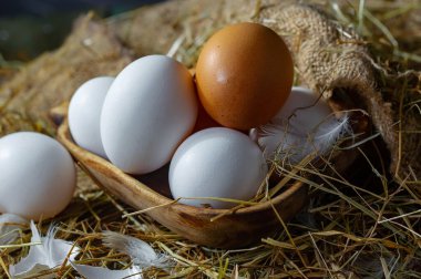 Çiğ tavuk yumurtası, kuru otların arka planında.