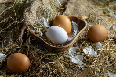 Çiğ tavuk yumurtası, kuru otların arka planında.