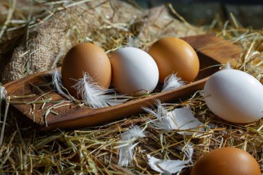 Çiğ tavuk yumurtası, kuru otların arka planında.