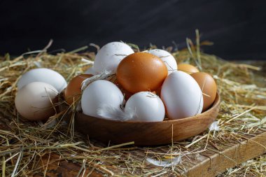 Çiğ tavuk yumurtası, kuru otların arka planında.