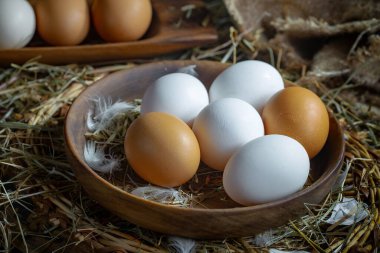 Çiğ tavuk yumurtası, kuru otların arka planında.