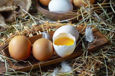 Çiğ tavuk yumurtası, kuru otların arka planında.