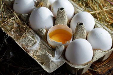 Çiğ tavuk yumurtası, kuru otların arka planında.